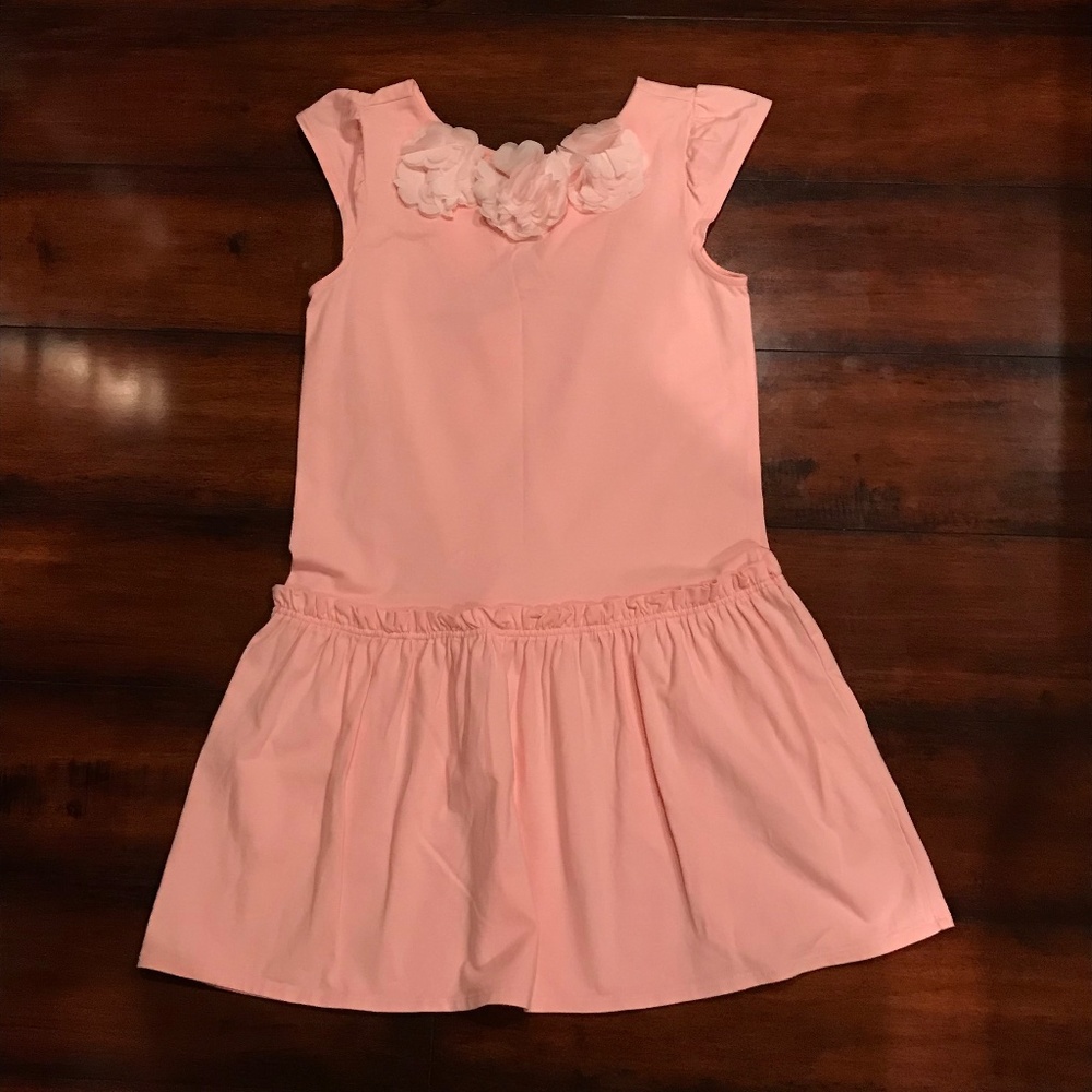 Gymboree fluttery flowers dress- SZ 10 -Pink -NWT